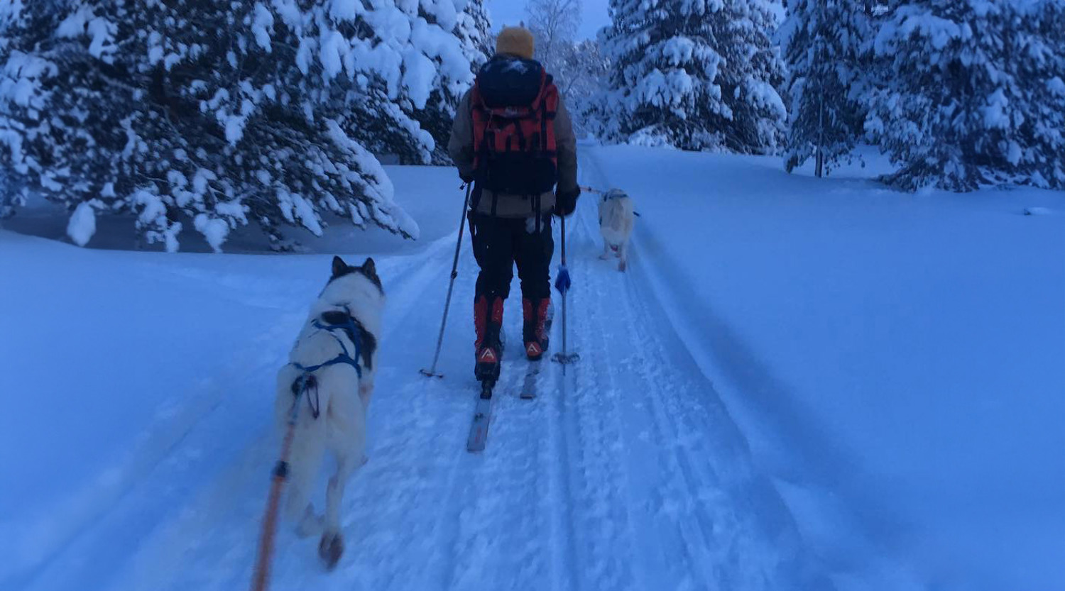 Brendon Munge is ski touring with dogs in above the Arctic Circle in Alta Norway