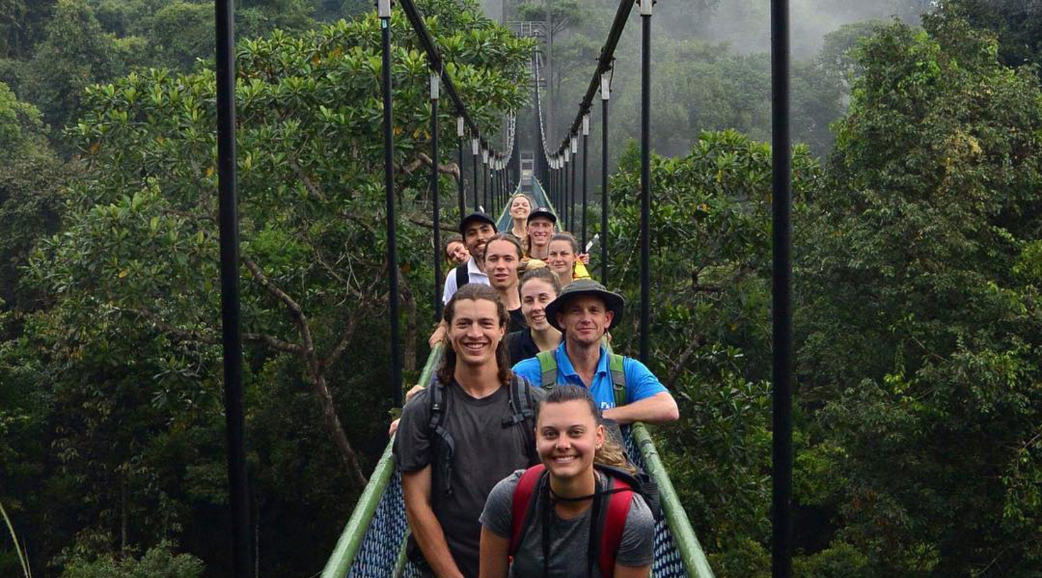 A group of New Colombo Plan participants on a trip to Singapore with Outdoor Environmental Studies students on a tree-top walk