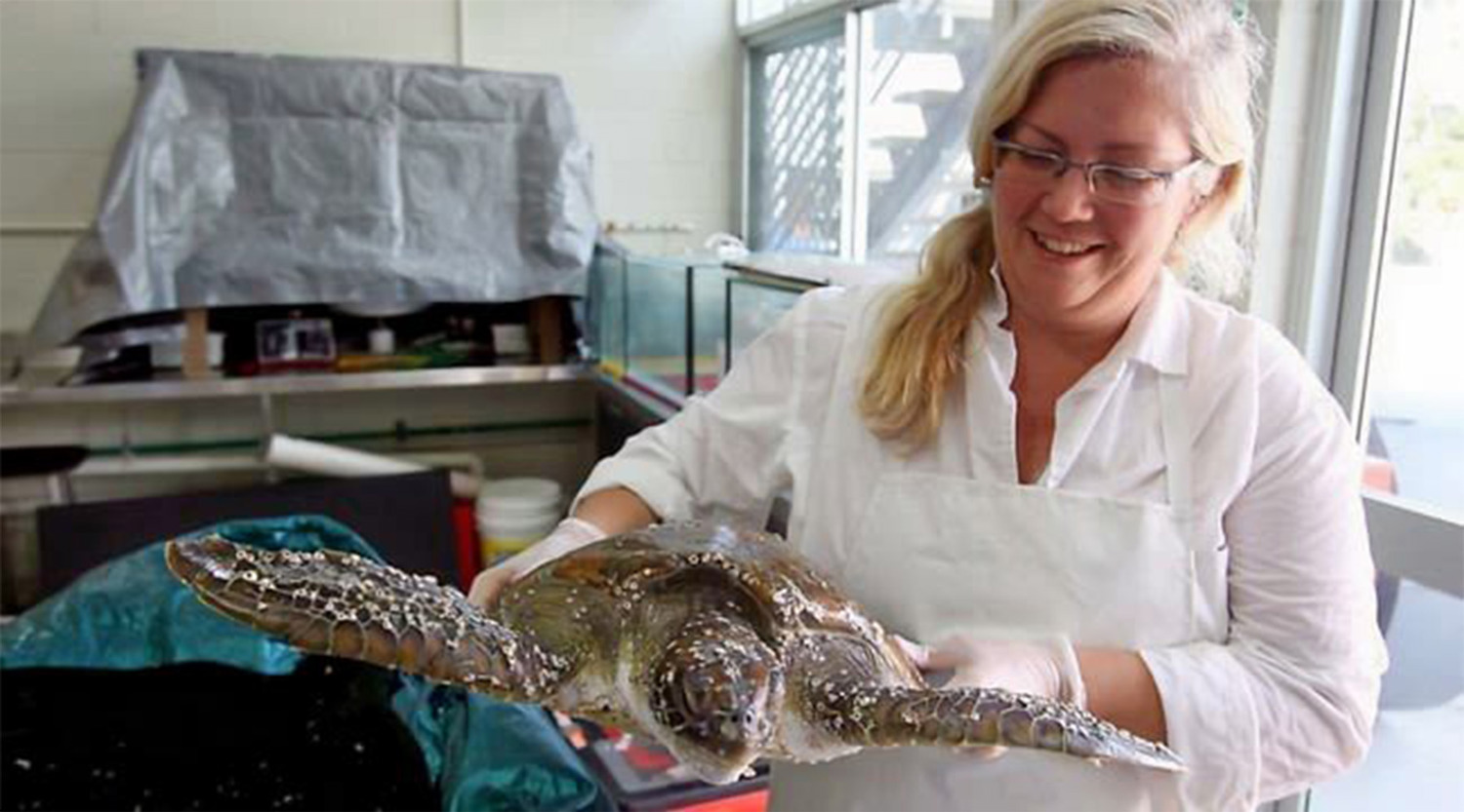 Associate Professor Kathy Townsend with a rehabilitated sea turtle